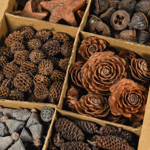 Сухи растителни декорации микс в кутия - GDF19771