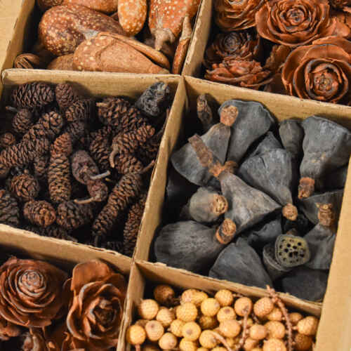 Сухи растителни декорации микс в кутия - GDF19770