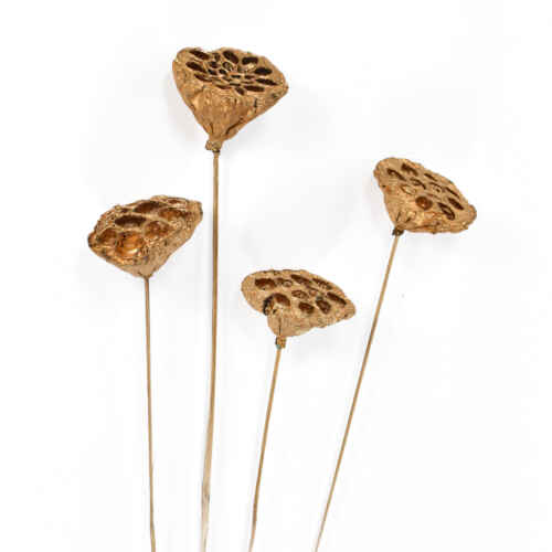 Изсушени позлатени лотоси на клечка 4бр. - GDF19860