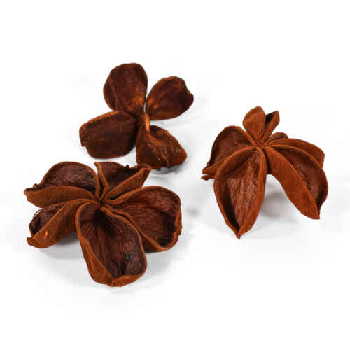 Оранжев сух лотос цвете 10бр. - GDF22449