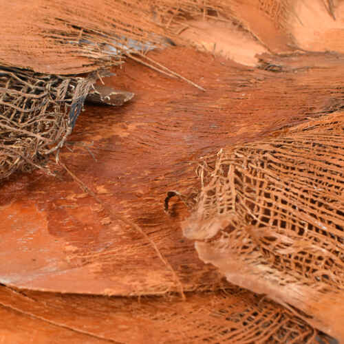 Натурални сухи палмови листа 500гр - 11854