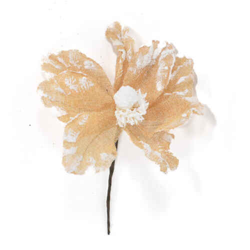 Заснежена магнолия плат 21см - EVE11534