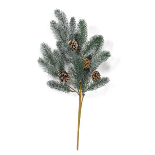 Елхова клонка с шишарки 48см - AGS172