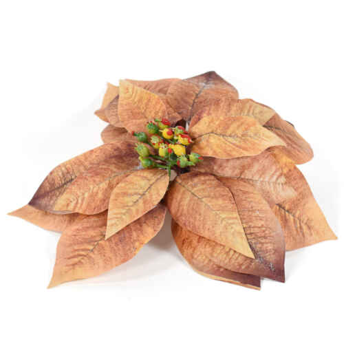 Коледна звезда с щипка кафява 21см - EVE11476