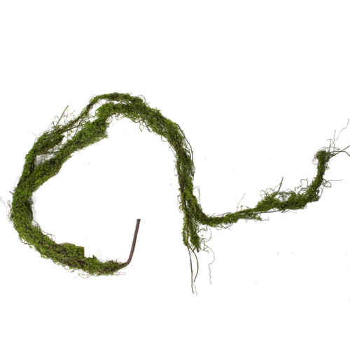 Изкуств. клонка с мъх и пръчици 170см / 25KW530
