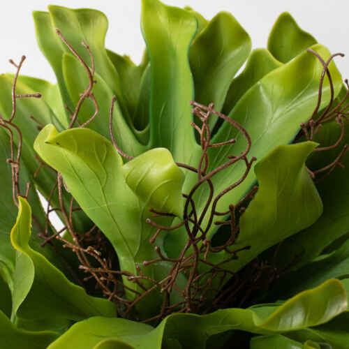 Изкуств. платицериум сукулент 42см / 25KW474 зелен