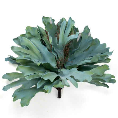 Изкуств. платицериум сукулент 42см / 25KW474 СИН